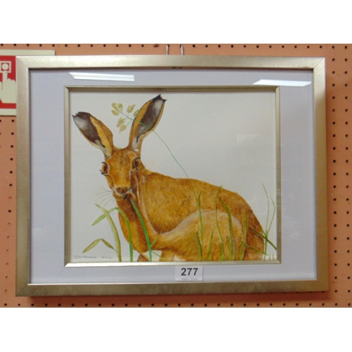 277 - EM Monms 2014, framed and glazed watercolour Hare , signed and dated lower.19 x 16