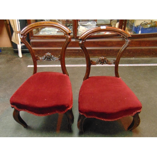 322 - Pair of mahogany balloon back nursing chairs, upholstered seats and on frontal cabriole supports.