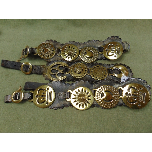 254 - Three antique brass martingales set on leather straps.