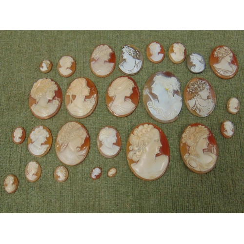 440 - Collection of unmounted carved shell cameo portrait plaques.