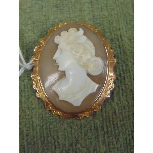 18 - 9ct marked oval cameo brooch.