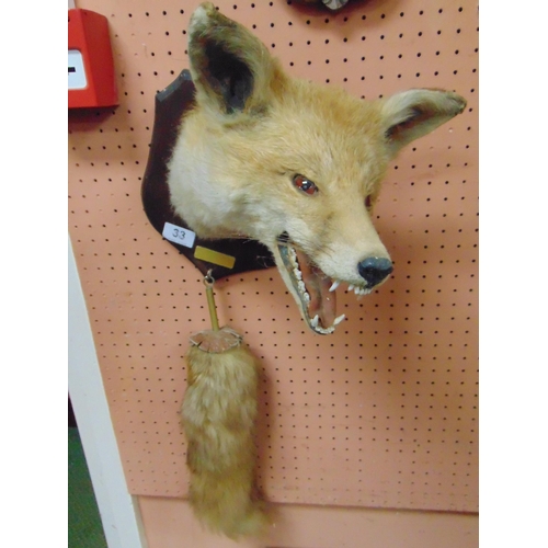 33 - Taxidermy, fox mask and brush, mounted on a wooden shield back.