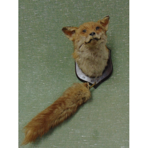 38 - Taxidermy, fox mask and brush, mounted on a wooden shield back.