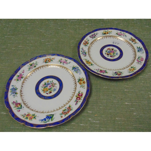 438 - Pair of Serves influenced hand painted plates, decorated with gilt edging and floral sprays, each 9