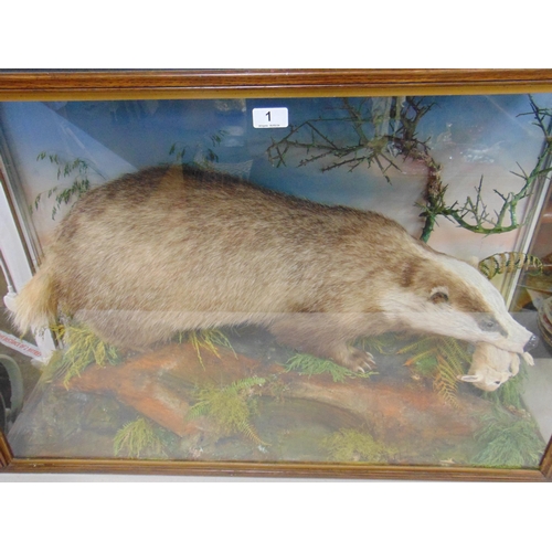 1 - Taxidermy, study of a badger holding a baby rabbit in its mouth, within a naturalistic setting, by J... 