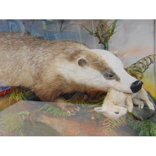 1 - Taxidermy, study of a badger holding a baby rabbit in its mouth, within a naturalistic setting, by J... 