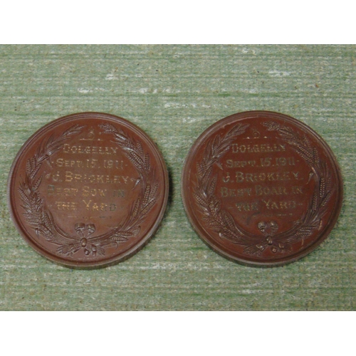 181 - Two medallions, Merionethshire  agricultural society.