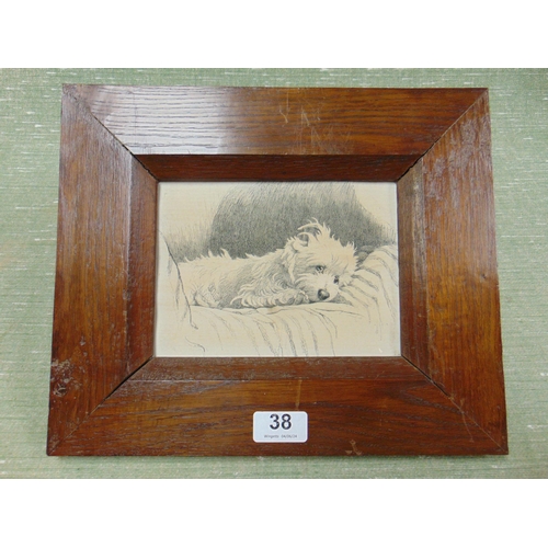 38 - An oak framed black and white print, recumbent dog, 5.5 x 7