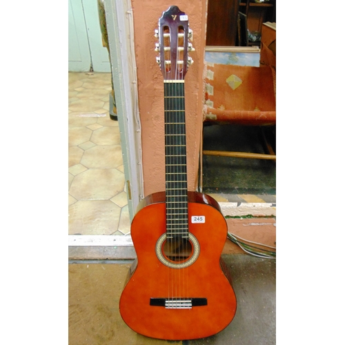 245 - An acoustic guitar.