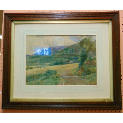 419 - Buchannan, pair of framed and glazed water colours, country scenes, each signed lower left,  9 x 13