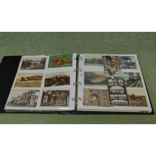 Lot 14        