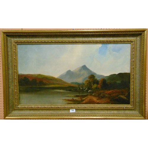 Lot 54        