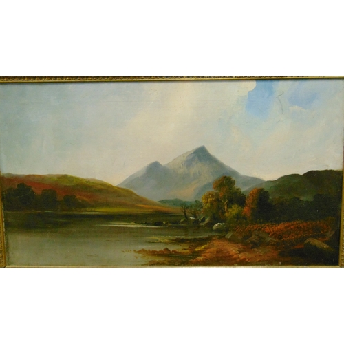 54 - Framed oil painting on canvas, River scene with mountainscape beyond, 17 x31.5