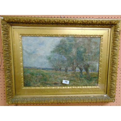 Lot 16        
