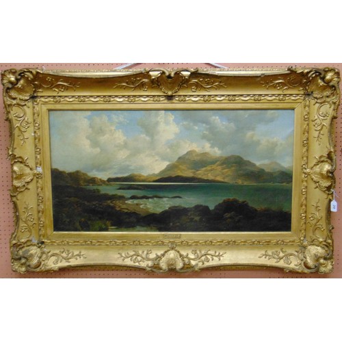 Lot 20        