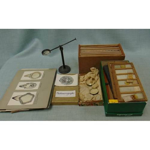 116 - Interesting collection of slides, magnifying glass on stand.