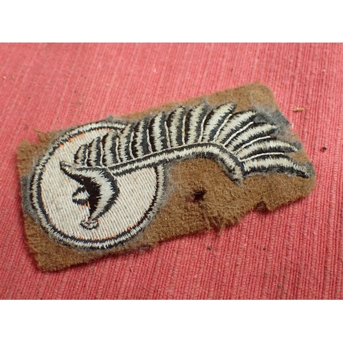 197 - WW2 Polish Armoured division sleeve patch

British made for the exiled Polish army. On emoth hole.
