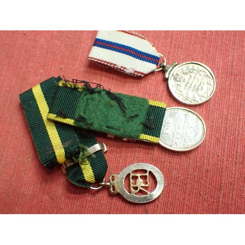 50 - British territorial medal minatures

Two territorial, and a ER2 1977 corronation medal