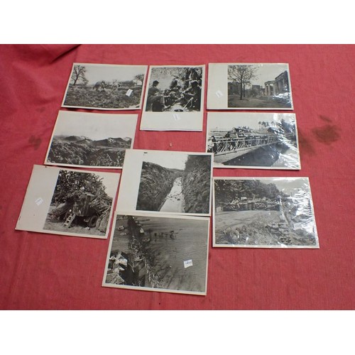 Lot 11        