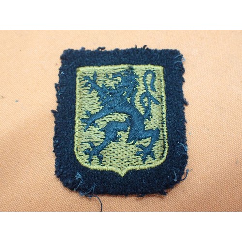 1 - WW2 Waffen-SS Flandern sleeve patch

Woven patch. Tunic removed with some edge fraying. 59 mm tall.