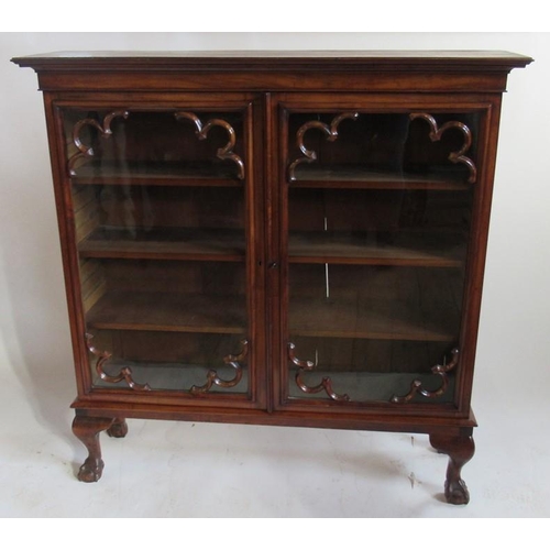 29 - A 19th century mahogany display cabinet, having two glazed doors with scroll moulded spandrels, rais... 