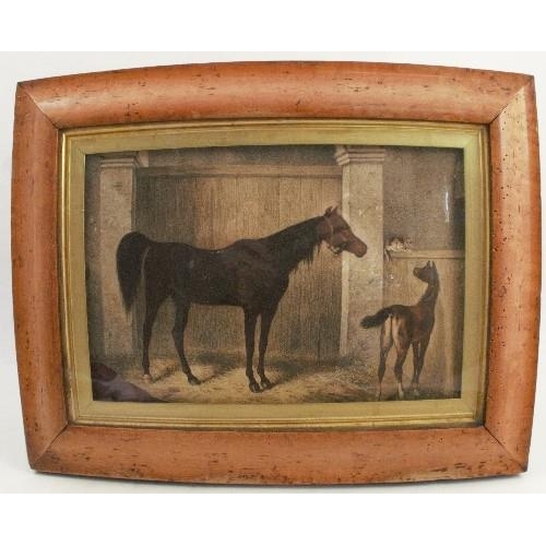 310 - A 19th century colour print, mare and foal in a stable looking at a cat, 8ins x 11.25ins, in a birds... 