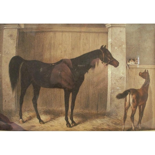 310 - A 19th century colour print, mare and foal in a stable looking at a cat, 8ins x 11.25ins, in a birds... 