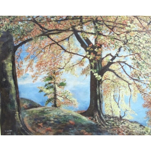 324 - H Haynes, oil on board, trees overlooking a bay, 16ins x 20ins