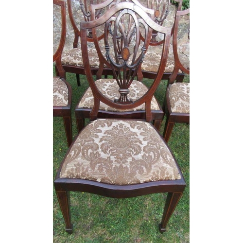 40 - A set of eight (6+2) mahogany shield back dining chairs, with carved, pierced and inlaid decoration ... 