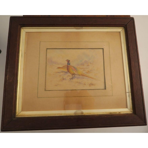 736 - Jas Stinton, watercolour, cock and hen pheasant, in landscape, 4.5ins x 6ins