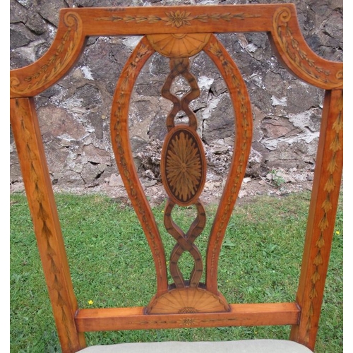 43 - A pair of satinwood bedroom chairs, in the Sheraton revival style, decorated with shells and leaves