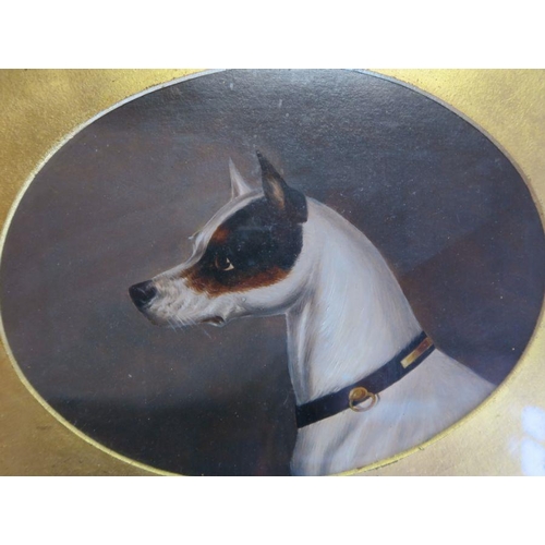 113 - A pair of 19th century oil on board, oval portraits of dogs, maximum diameter 8.5ins