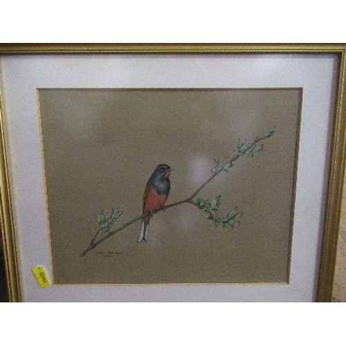 115 - David Thelwell, two watercolours, studies of birds, 8ins x 10ins and 7ins x 10ins