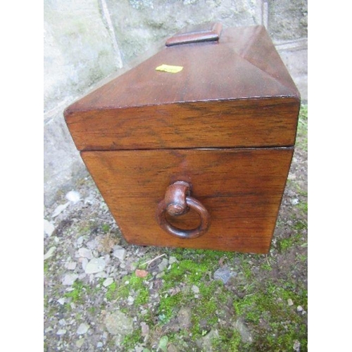 133 - A 19th century sarcophagus shaped rosewood tea caddy, width 14ins x height 8.5ins