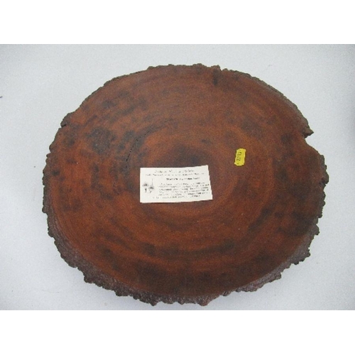 146 - A grass tree shallow dish, diameter 13.5ins, together with a Jarrah Burl bowl, diameter 7.5ins