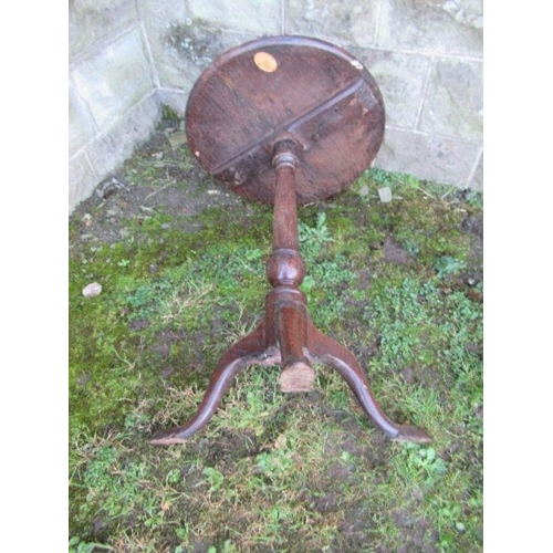 48 - A Georgian dish top oak tripod table, diameter 19ins x height 26ins