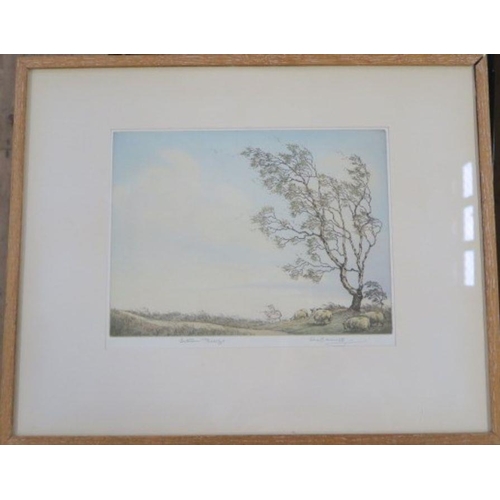 102 - Alice Barnwell, coloured etching, Autumn Breeze, signed and blind stamped artist's proof, 9ins x 12i... 