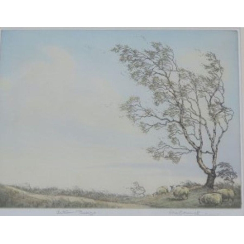 102 - Alice Barnwell, coloured etching, Autumn Breeze, signed and blind stamped artist's proof, 9ins x 12i... 