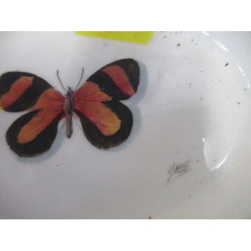 138 - Two Royal Worcester oval pin dishes decorated with a butterfly by Smith, maximum diameter 4.5ins