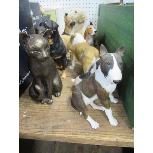 185 - A collection of resin models of dogs, to include Border Fine Arts Rottweiler, Frith cat model, etc.