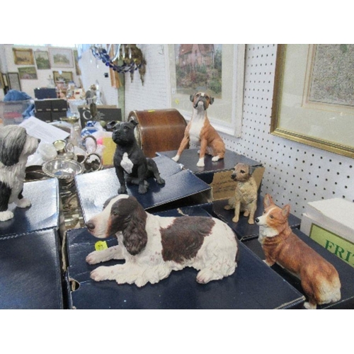 186 - Seven boxed Border Fine Art models of dogs, to include Irish Wolfhound, Corgi, etc. - All in good co... 