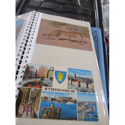 217 - A collection of postcard albums, containing topographical views, together with cigarette cards etc