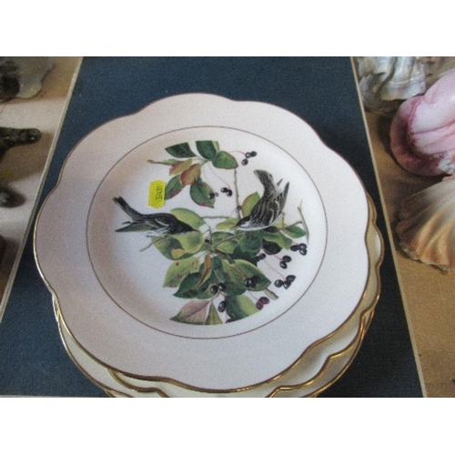 260 - Four Royal Worcester Dorothy Doughty bird plates, and two others