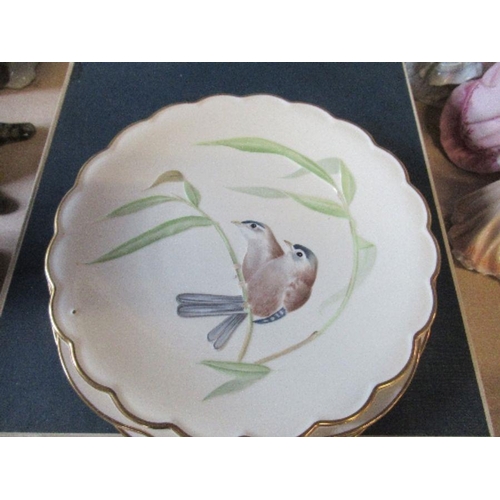 260 - Four Royal Worcester Dorothy Doughty bird plates, and two others