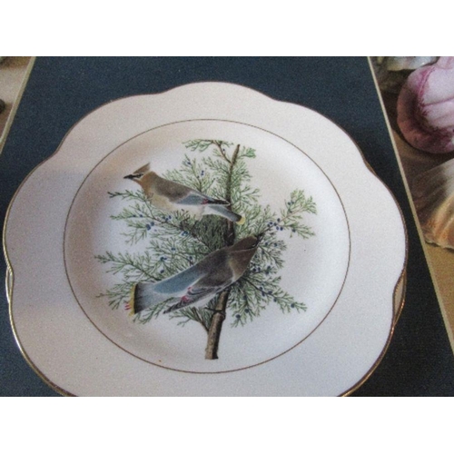 260 - Four Royal Worcester Dorothy Doughty bird plates, and two others