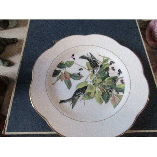 260 - Four Royal Worcester Dorothy Doughty bird plates, and two others