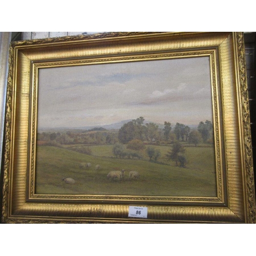 86 - An oil on canvas, landscape with sheep, 11.5ins x 15.5ins