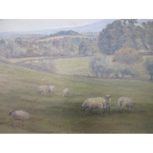 86 - An oil on canvas, landscape with sheep, 11.5ins x 15.5ins