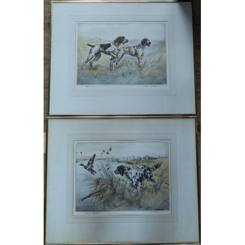 159 - Henry Wilkinson, two limited edition colour engravings, studies of sporting dogs, 10.5ins x 14ins, t... 