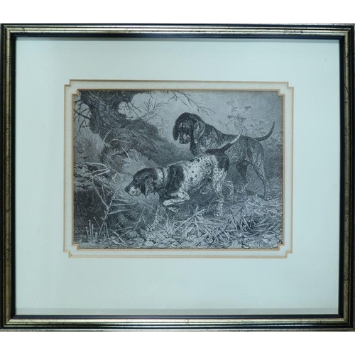 159 - Henry Wilkinson, two limited edition colour engravings, studies of sporting dogs, 10.5ins x 14ins, t... 